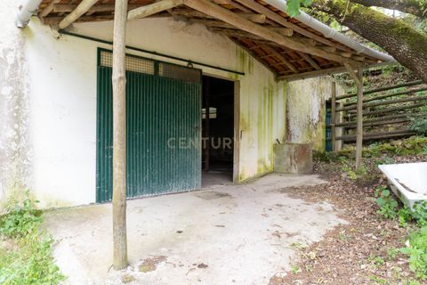 Helårsgrund i Alenquer, Lisbon, Alenquer - € 400.000 | Ref: C0500-00198 - foto 17