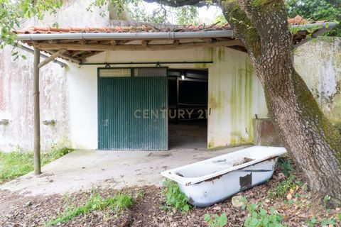 Helårsgrund i Alenquer, Lisbon, Alenquer - € 400.000 | Ref: C0500-00198 - foto 20