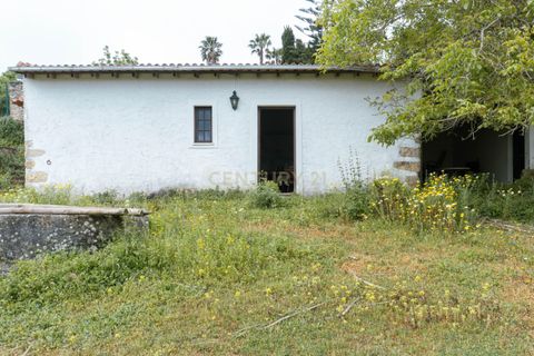 Helårsgrund i Alenquer, Lisbon, Alenquer - € 400.000 | Ref: C0500-00198 - foto 24
