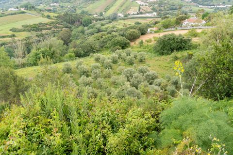 Helårsgrund i Alenquer, Lisbon, Alenquer - € 400.000 | Ref: C0500-00198 - foto 25