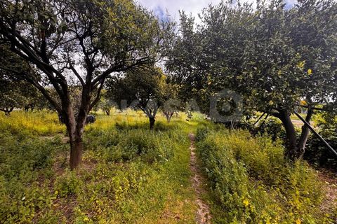 Granja a Setubal, Setubal, Setubal - € 460.000 | Ref: QUI_13211 - foto 20