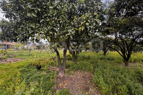 Granja a Setubal, Setubal, Setubal - € 460.000 | Ref: QUI_13211 - foto 21