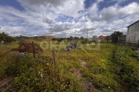 Granja a Setubal, Setubal, Setubal - € 460.000 | Ref: QUI_13211 - foto 23