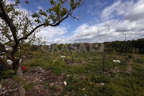 Granja a Setubal, Setubal, Setubal - € 460.000 | Ref: QUI_13211 - foto 25