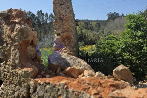 Rækkehus i Coimbra, Coimbra, Coimbra - € 55.000 | Ref: 1126271 - foto 10
