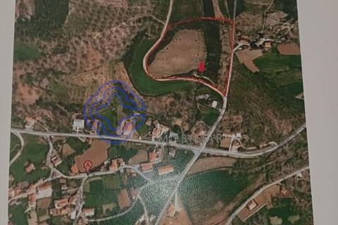 Helårsgrund i Vinhais, Braganca, Vinhais - € 130.000 | Ref: 1124441 - foto 10