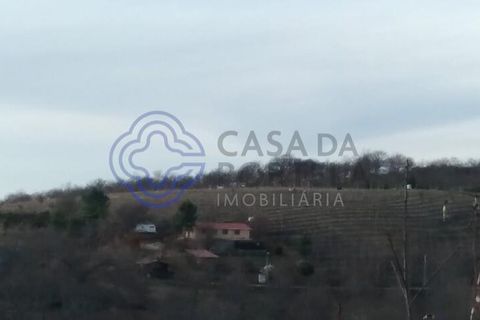 Helårsgrund i Vinhais, Braganca, Vinhais - € 130.000 | Ref: 1124441 - foto 11