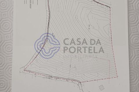 Helårsgrund i Vinhais, Braganca, Vinhais - € 130.000 | Ref: 1124441 - foto 12