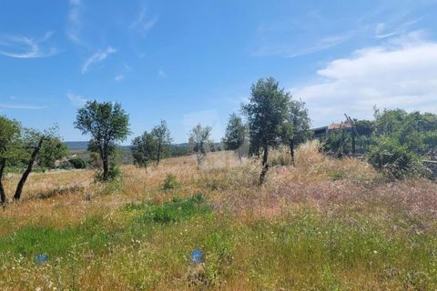 Helårsgrund i Castelo Branco, Castelo Branco, Castelo Branco - € 15.700 | Ref: H779 - foto 2