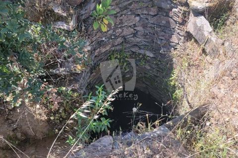 Helårsgrund i Castelo Branco, Castelo Branco, Castelo Branco - € 15.700 | Ref: H779 - foto 4