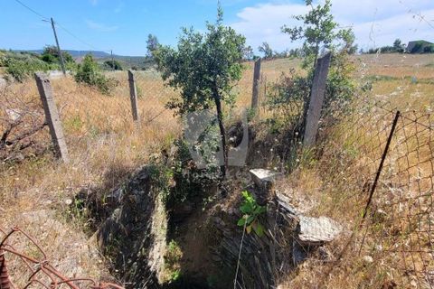 Helårsgrund i Castelo Branco, Castelo Branco, Castelo Branco - € 15.700 | Ref: H779 - foto 5