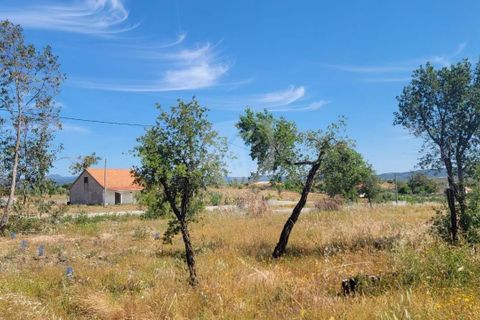 Helårsgrund i Castelo Branco, Castelo Branco, Castelo Branco - € 15.700 | Ref: H779 - foto 6