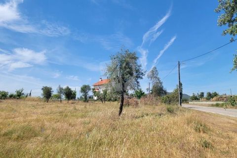 Helårsgrund i Castelo Branco, Castelo Branco, Castelo Branco - € 15.700 | Ref: H779 - foto 8