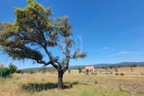 Helårsgrund i Castelo Branco, Castelo Branco, Castelo Branco - € 15.700 | Ref: H779 - foto 12