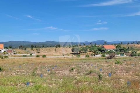 Helårsgrund i Castelo Branco, Castelo Branco, Castelo Branco - € 15.700 | Ref: H779 - foto 13