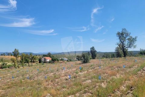 Helårsgrund i Castelo Branco, Castelo Branco, Castelo Branco - € 15.700 | Ref: H779 - foto 14