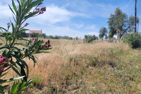 Helårsgrund i Castelo Branco, Castelo Branco, Castelo Branco - € 15.700 | Ref: H779 - foto 25