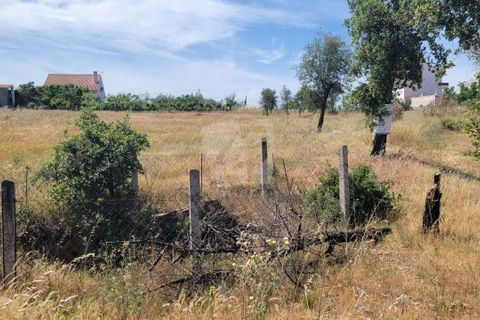 Helårsgrund i Castelo Branco, Castelo Branco, Castelo Branco - € 15.700 | Ref: H779 - foto 26