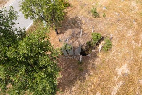 Grond in Castelo Branco, Castelo Branco, Castelo Branco - € 15.700 | Ref: H779 - foto 36