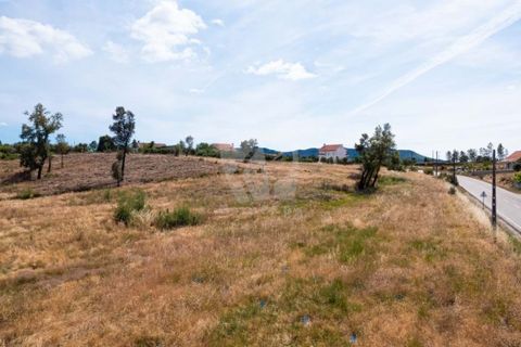 Grond in Castelo Branco, Castelo Branco, Castelo Branco - € 15.700 | Ref: H779 - foto 41