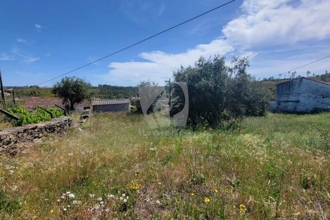 Helårsgrund i Castelo Branco, Castelo Branco, Castelo Branco - € 10.700 | Ref: H780 - foto 3
