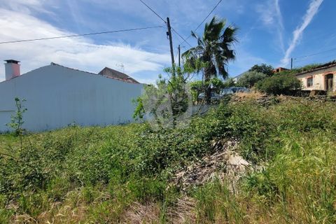 Helårsgrund i Castelo Branco, Castelo Branco, Castelo Branco - € 10.700 | Ref: H780 - foto 4