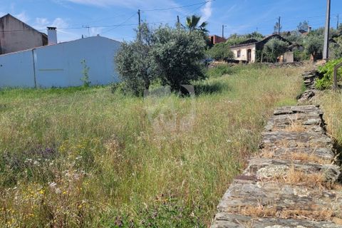 Helårsgrund i Castelo Branco, Castelo Branco, Castelo Branco - € 10.700 | Ref: H780 - foto 6