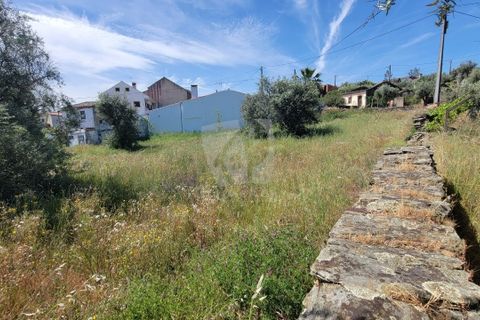 Helårsgrund i Castelo Branco, Castelo Branco, Castelo Branco - € 10.700 | Ref: H780 - foto 7