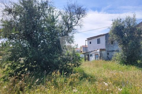 Helårsgrund i Castelo Branco, Castelo Branco, Castelo Branco - € 10.700 | Ref: H780 - foto 8