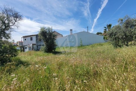 Helårsgrund i Castelo Branco, Castelo Branco, Castelo Branco - € 10.700 | Ref: H780 - foto 9