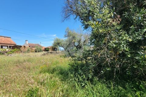 Helårsgrund i Castelo Branco, Castelo Branco, Castelo Branco - € 10.700 | Ref: H780 - foto 11
