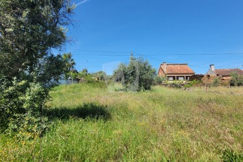 Helårsgrund i Castelo Branco, Castelo Branco, Castelo Branco - € 10.700 | Ref: H780 - foto 12