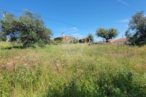 Helårsgrund i Castelo Branco, Castelo Branco, Castelo Branco - € 10.700 | Ref: H780 - foto 13