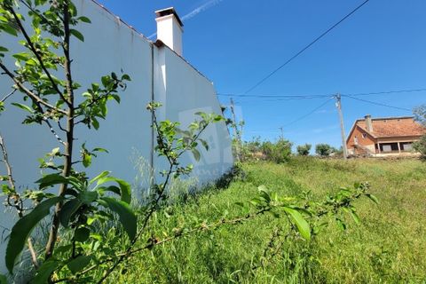 Helårsgrund i Castelo Branco, Castelo Branco, Castelo Branco - € 10.700 | Ref: H780 - foto 14