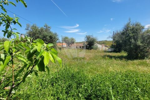 Helårsgrund i Castelo Branco, Castelo Branco, Castelo Branco - € 10.700 | Ref: H780 - foto 15