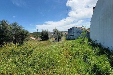 Helårsgrund i Castelo Branco, Castelo Branco, Castelo Branco - € 10.700 | Ref: H780 - foto 18