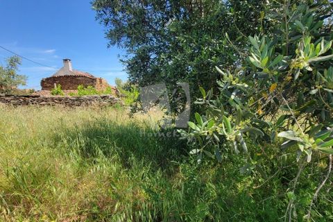 Helårsgrund i Castelo Branco, Castelo Branco, Castelo Branco - € 10.700 | Ref: H780 - foto 19