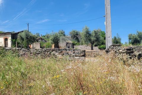 Helårsgrund i Castelo Branco, Castelo Branco, Castelo Branco - € 10.700 | Ref: H780 - foto 20