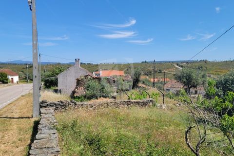 Helårsgrund i Castelo Branco, Castelo Branco, Castelo Branco - € 10.700 | Ref: H780 - foto 23