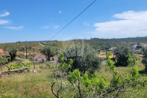 Helårsgrund i Castelo Branco, Castelo Branco, Castelo Branco - € 10.700 | Ref: H780 - foto 24