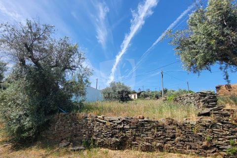 Helårsgrund i Castelo Branco, Castelo Branco, Castelo Branco - € 10.700 | Ref: H780 - foto 27