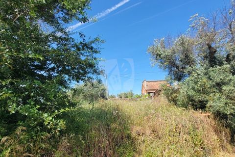Helårsgrund i Castelo Branco, Castelo Branco, Castelo Branco - € 10.700 | Ref: H780 - foto 28
