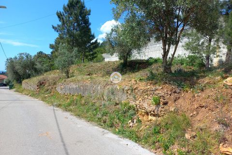 Helårsgrund i Lousa, Coimbra, Lousa - € 45.000 | Ref: 1TC4243 - foto 2