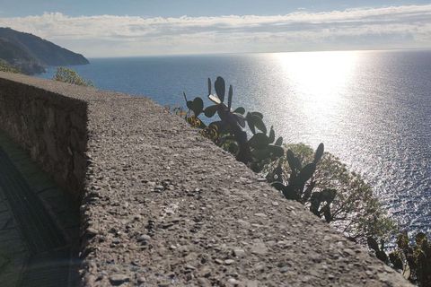 Villa a Vernazza, La Spezia, Vernazza - € 1.300.000 | Ref: RH 2604007-1133084 - foto 25