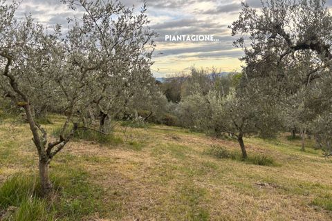 Villa i Roccatederighi, Grosseto, Roccatederighi - € 35.000 | Ref: 41741006-198-1137731 - foto 2
