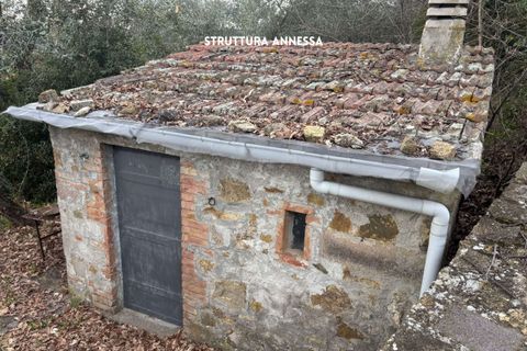 Villa i Roccatederighi, Grosseto, Roccatederighi - € 35.000 | Ref: 41741006-198-1137731 - foto 3