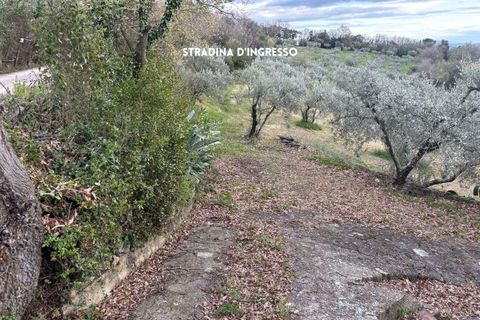 Villa i Roccatederighi, Grosseto, Roccatederighi - € 35.000 | Ref: 41741006-198-1137731 - foto 4