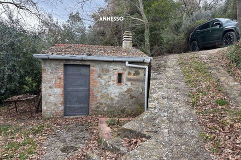 Villa i Roccatederighi, Grosseto, Roccatederighi - € 35.000 | Ref: 41741006-198-1137731 - foto 5