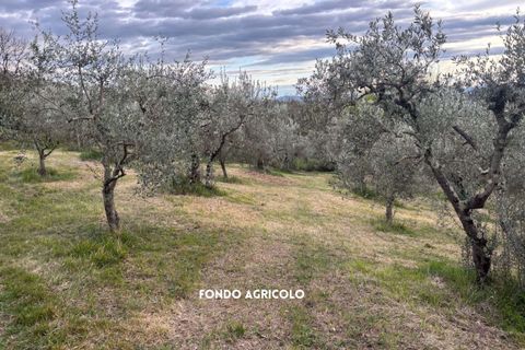Villa i Roccatederighi, Grosseto, Roccatederighi - € 35.000 | Ref: 41741006-198-1137731 - foto 7