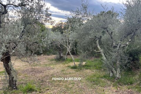 Villa i Roccatederighi, Grosseto, Roccatederighi - € 35.000 | Ref: 41741006-198-1137731 - foto 8